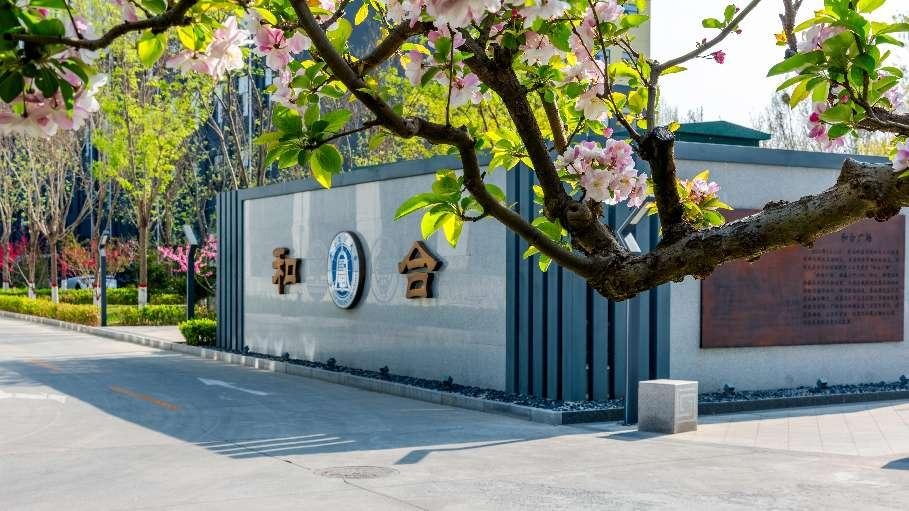 此外结合工作实际